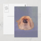 Mooie Pekingees Briefkaart (Voorkant / Achterkant)