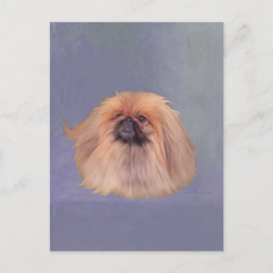 Mooie Pekingees Briefkaart