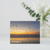 Mooie Pelikanen bij zonsondergang - Venice Beach,  Briefkaart (Staand voorkant)