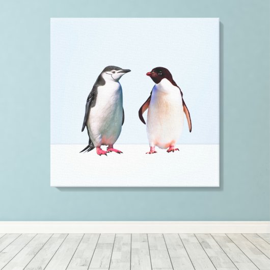 Mooie Penguin Couple op Light Periwinkle Blue Canvas Afdruk (Insitu (Houten vloer))