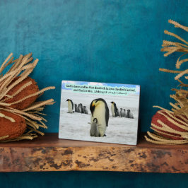 Mooie Penguin Schrift Plaque 1 Johannes 4:16 Fotoplaat