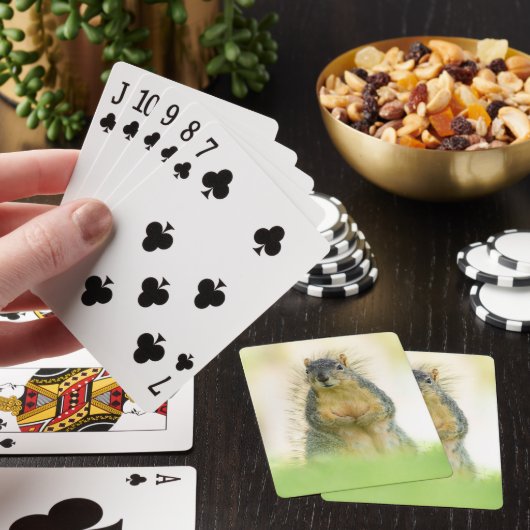 Mooie penningkaarten pokerkaarten (Insitu)