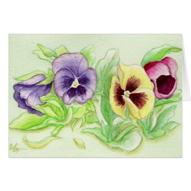 Mooie pensies (Voorkant Horizontaal)