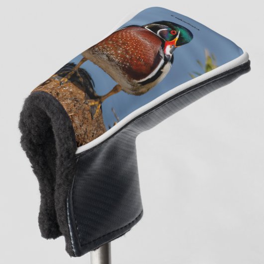 Mooie Pensive Wood Duck in Marsh Golfheadcover (3/4 voorkant)