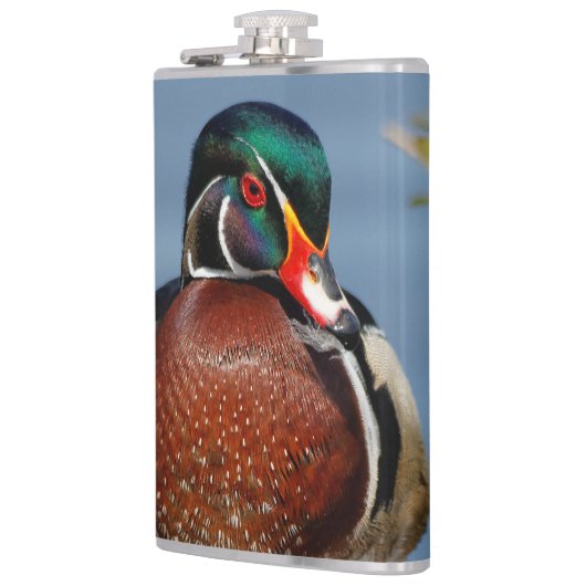 Mooie Pensive Wood Duck in Marsh Heupfles (Links)