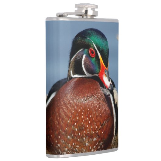 Mooie Pensive Wood Duck in Marsh Heupfles (Rechts)