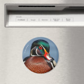 Mooie Pensive Wood Duck in Marsh Magneet (Insitu (Vaatwasser))