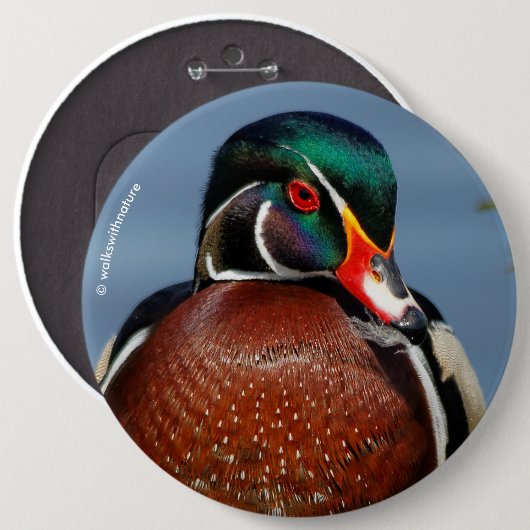 Mooie Pensive Wood Duck in Marsh Ronde Button 6,0 Cm (Voorkant /achterkant)