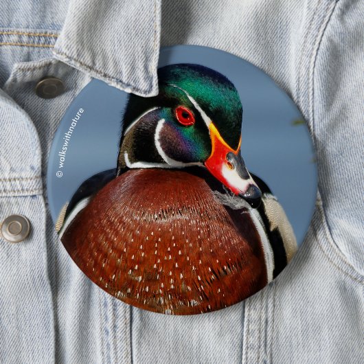 Mooie Pensive Wood Duck in Marsh Ronde Button 6,0 Cm (In situ)