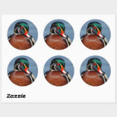 Mooie Pensive Wood Duck in Marsh Ronde Sticker (Vel)