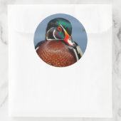 Mooie Pensive Wood Duck in Marsh Ronde Sticker (Tas)
