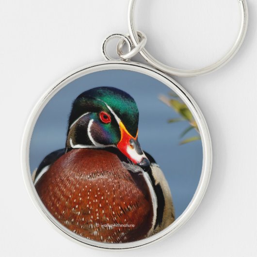 Mooie Pensive Wood Duck in Marsh Sleutelhanger (Voorkant)