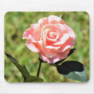 Mooie, perfecte roze roze roestbloem muismat