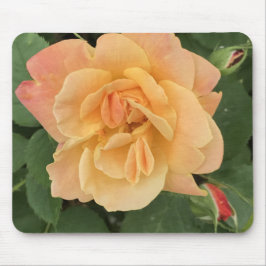 Mooie perzik gekleurde Rozen Muismat