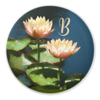 Mooie Perzik Roze Blauw Bloemen Monogram Lade Keramische Knop