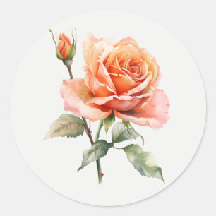 Mooie Perzik Rozen Tuin Bloem Bloemkunst Ronde Sticker