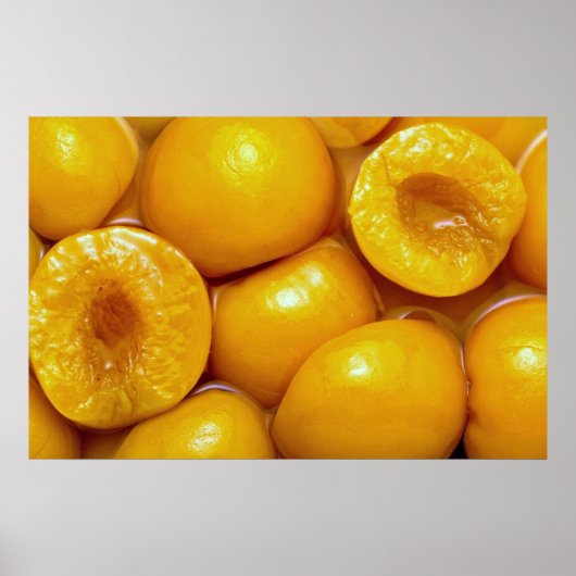 Mooie Perzische halveren Poster (Voorkant)