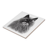 Mooie Perzische Kat in Zwart-Wit Tegeltje (Zijkant)