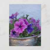 Mooie Petunia's Briefkaart (Voorkant)