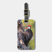 Mooie pileated Woodpecker op de boom Bagagelabel (Voorkant verticaal)