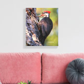Mooie pileated Woodpecker op de boom Canvas Afdruk (Insitu (Woonkamer))
