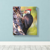Mooie pileated Woodpecker op de boom Canvas Afdruk (Insitu (Houten vloer))