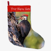 Mooie pileated Woodpecker op de boom Grote Kerstsok (Voorkant)