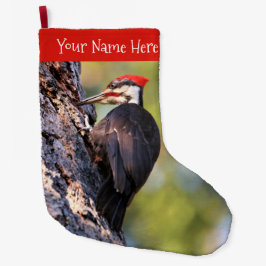 Mooie pileated Woodpecker op de boom Grote Kerstsok