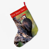 Mooie pileated Woodpecker op de boom Grote Kerstsok (Achterkant (Hangend))