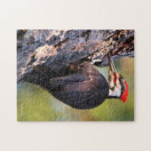 Mooie pileated Woodpecker op de boom Legpuzzel (Horizontaal)