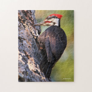 Mooie pileated Woodpecker op de boom Legpuzzel