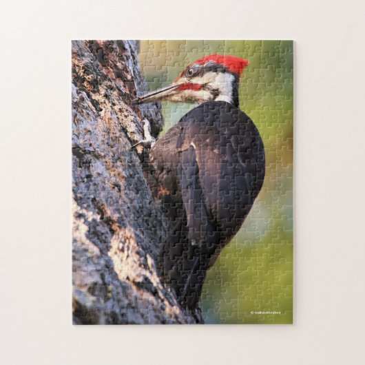 Mooie pileated Woodpecker op de boom Legpuzzel (Verticaal)
