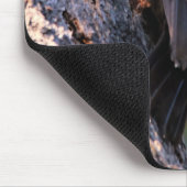 Mooie pileated Woodpecker op de boom Muismat (Hoek)