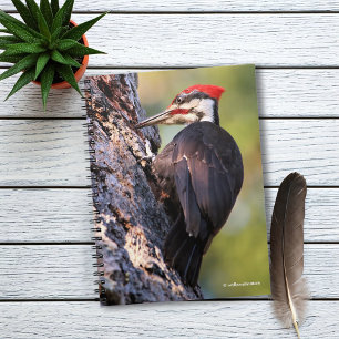 Mooie pileated Woodpecker op de boom Notitieboek