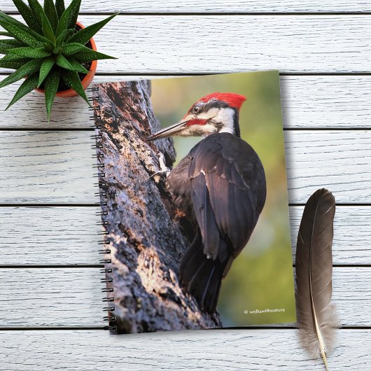 Mooie pileated Woodpecker op de boom Notitieboek