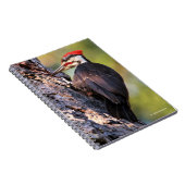 Mooie pileated Woodpecker op de boom Notitieboek (Rechterzijde)
