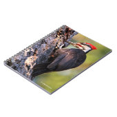 Mooie pileated Woodpecker op de boom Notitieboek (Linkerzijde)