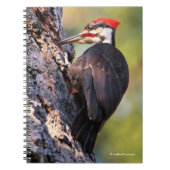 Mooie pileated Woodpecker op de boom Notitieboek (Voorkant)