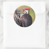 Mooie pileated Woodpecker op de boom Ronde Sticker (Tas)