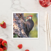 Mooie pileated Woodpecker op de boom Servet (Insitu)