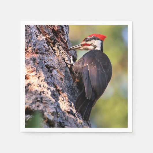 Mooie pileated Woodpecker op de boom Servet (Voorkant)