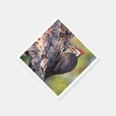 Mooie pileated Woodpecker op de boom Servet (Hoek)