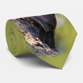 Mooie pileated Woodpecker op de boom Stropdas (Opgerold)