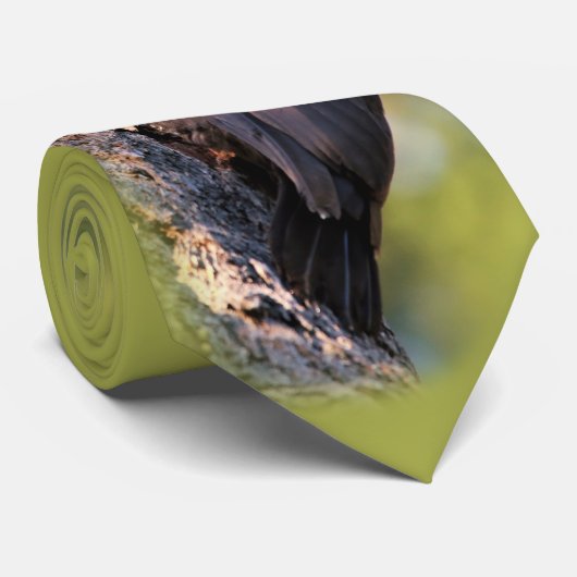 Mooie pileated Woodpecker op de boom Stropdas (Opgerold)