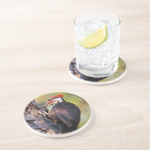 Mooie pileated Woodpecker op de boom