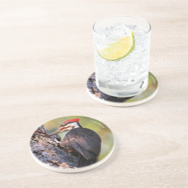 Mooie pileated Woodpecker op de boom Zandsteen Onderzetter