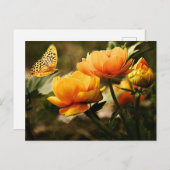 Mooie pinda's en vlinder briefkaart (Voorkant / Achterkant)