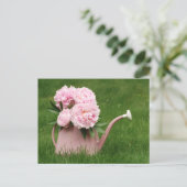 Mooie pinda's in een drenkast briefkaart (Staand voorkant)