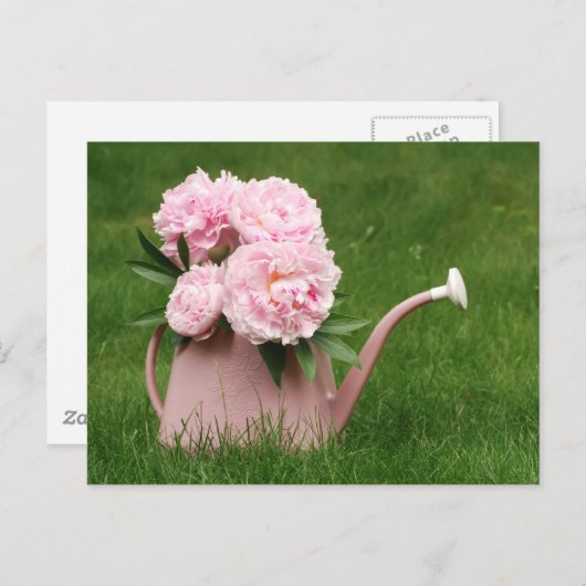 Mooie pinda's in een drenkast briefkaart (Voorkant / Achterkant)