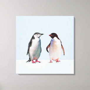 Mooie pinguïn koppel op licht periwinkleblauw canvas afdruk